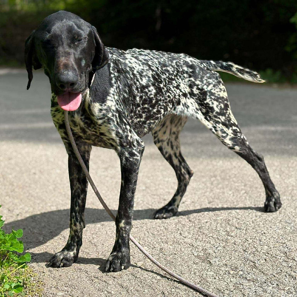 679_Bracken-01.jpg
