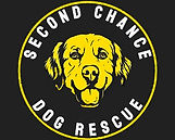 SCDR Official Logo - ffdd00 on 212121.jpg