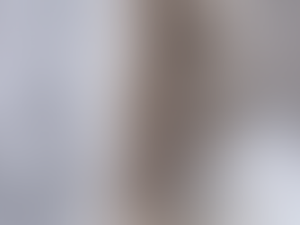 Carpet Cleaning for Pet Owners in Santa Rosa Beach – Odor and Stain Solutions