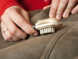 Eco-Friendly Carpet Cleaning Solutions for Families in Santa Rosa Beach