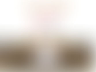 YES! Palm Beaches Networking Event