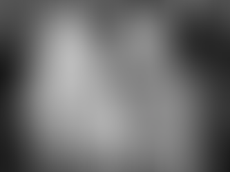 New York Fashion Week Recap | LLScene