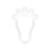 Leader (5).png
