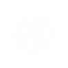 Leader (1).png