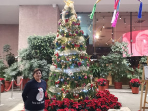 ¡Disfrutando y esperando la Navidad!