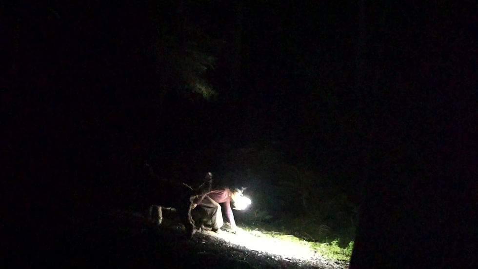 Thumbnail: Aurora Headlamp