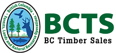 bctslogo.png