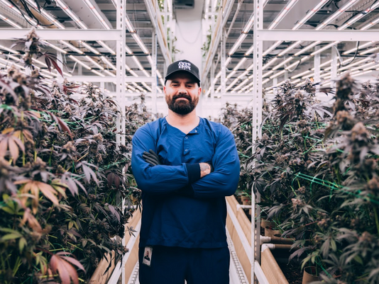 flora and flame, action matt jackson, leafly, cannabis, chris castle, castle consulting company, cannabis consultant, cannabis cultivation, grow facility design, cannabis licensing, brand development cannabis, vertical farming cannabis, organic living soil, cannabis genetics, financial planning cannabis, cannabis business strategy, Metrc compliance, award winning cannabis, cultivation expert, cannabis market penetration, professional cannabis consulting, state-of-the-art grow, high-quality cannabis, yield optimization, cannabis business solutions, sustainable cannabis, clean genetics, pest management cannabis, cannabis SOPs, tissue culture cannabis, cannabis industry expert