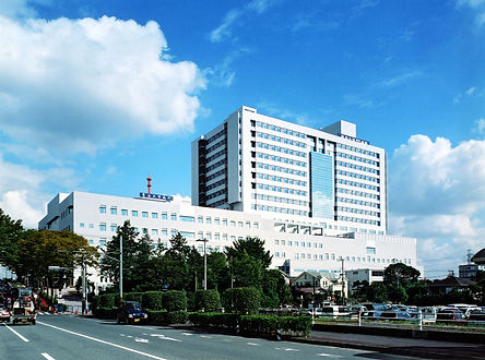 tuhp_004.jpg