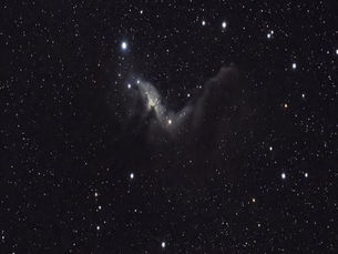 The silence of creation