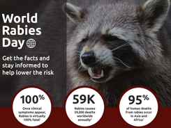 World Rabies Day campaign