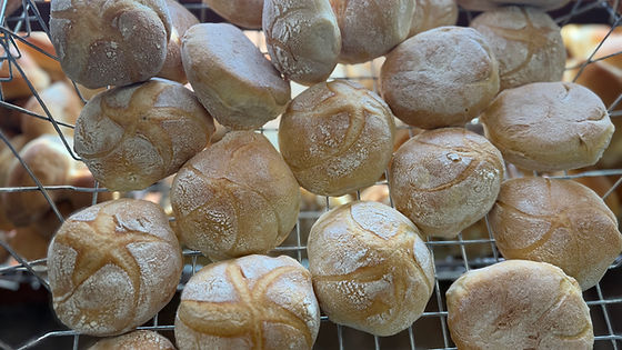 Calabrese Dinner Roll