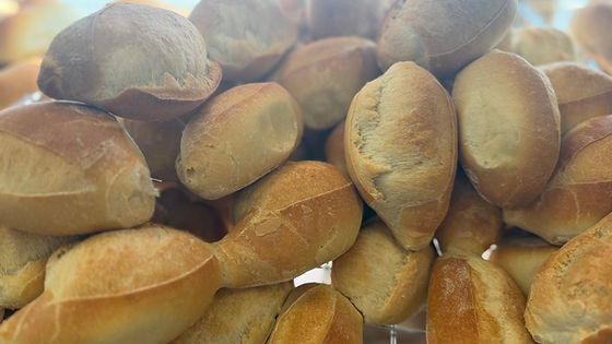 Regular Dinner Roll