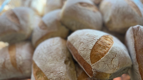 Ciabatta Bun