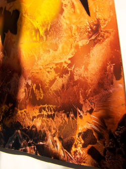 100_4088_edited.jpg