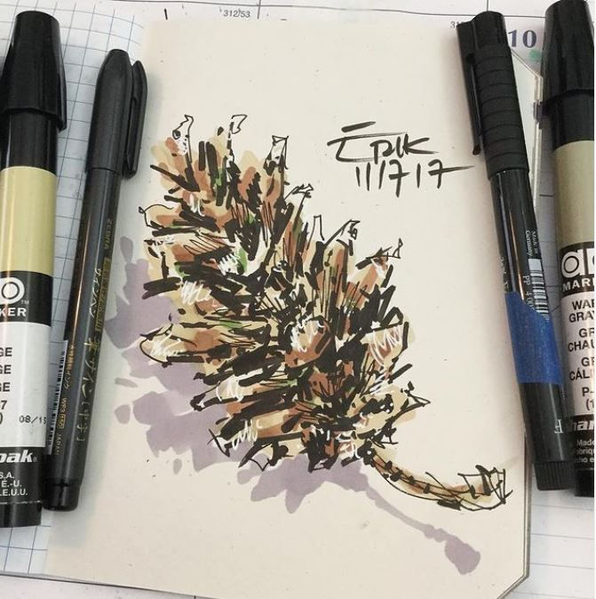 Pine cone surrounded by AD Markers and pens. Erik 2/7/17.