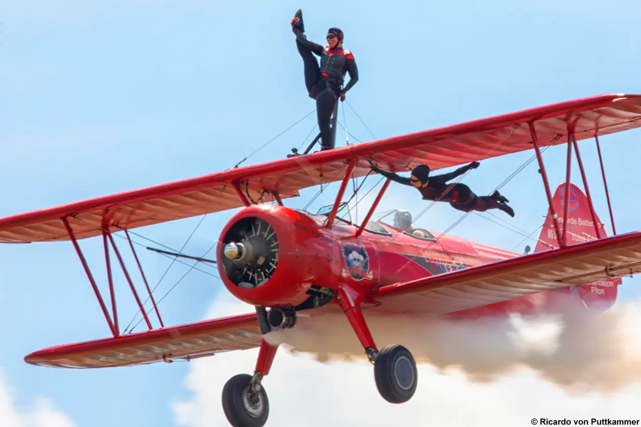 Performers Wings Over Wayne