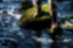 messswebsitepic4.jpg