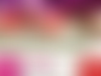 Newsletter de fin d'année