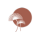 Pousada Papyrus