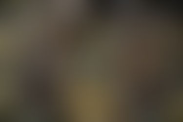 THE ADVENTURES OF IRIS PART 2 