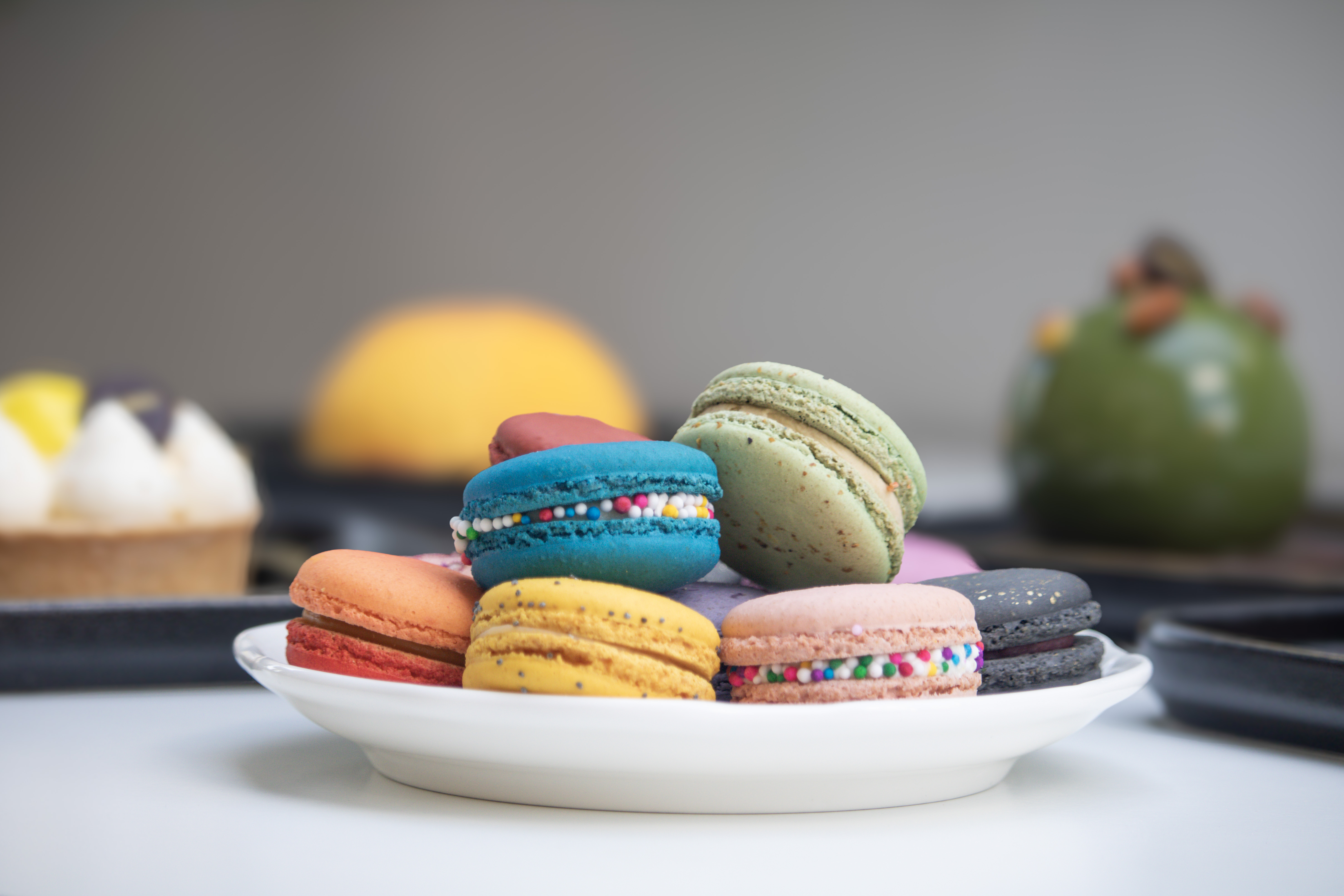 Arranged Food and Objects