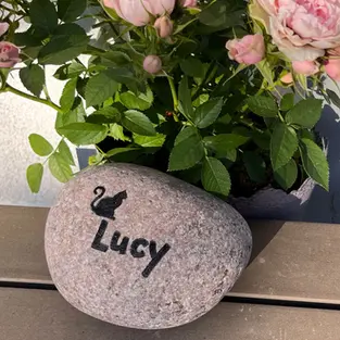 Ein runder Findling als Grabstein für dein geliebtes Haustier mit personalisierter Gravur bestehend aus Wunschtext mit Wahlschrift und Katzenmotiv
