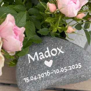 Ein runder Findling als Grabstein für dein geliebtes Haustier mit personalisierter Gravur bestehend aus Wunschtext mit Wahlschrift und Herzmotiv