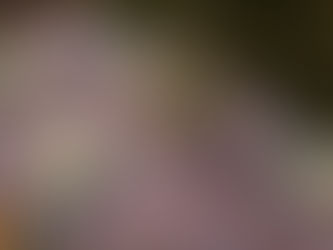 כל מה שלא ידעת על אמנות                       ה BLOCK PRINT 