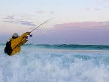 賢い魚は餌を引き出す