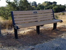 天国に行ったブディ