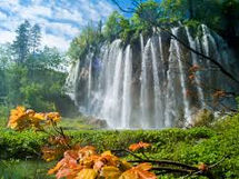 再認識！認知行動療法のパワー