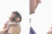 嫌なのに母そっくり：ミラーニューロン大活躍