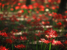 季節は忘れてないですね