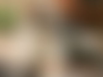 ねこ日和　令和元年９月２５日