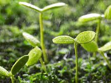 自分でも＊信じられない＊こと