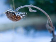 「けなす」痛手を負うのはだれ？