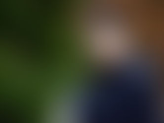 ごめんなさいが言えなくて