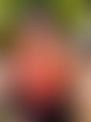 Mood Fabric Feature (MSN): Summer Swimwear and Cover-up