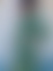 Mood Fabrics (MSN) Feature: Designer looks Re-created