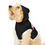 Thumbnail: Canine Stroll Hoodie for Small Pets 