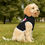 Thumbnail: Canine Stroll Hoodie for Small Pets 