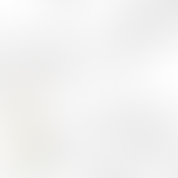 Umsetzung, 4. Etappe, KW 4-5