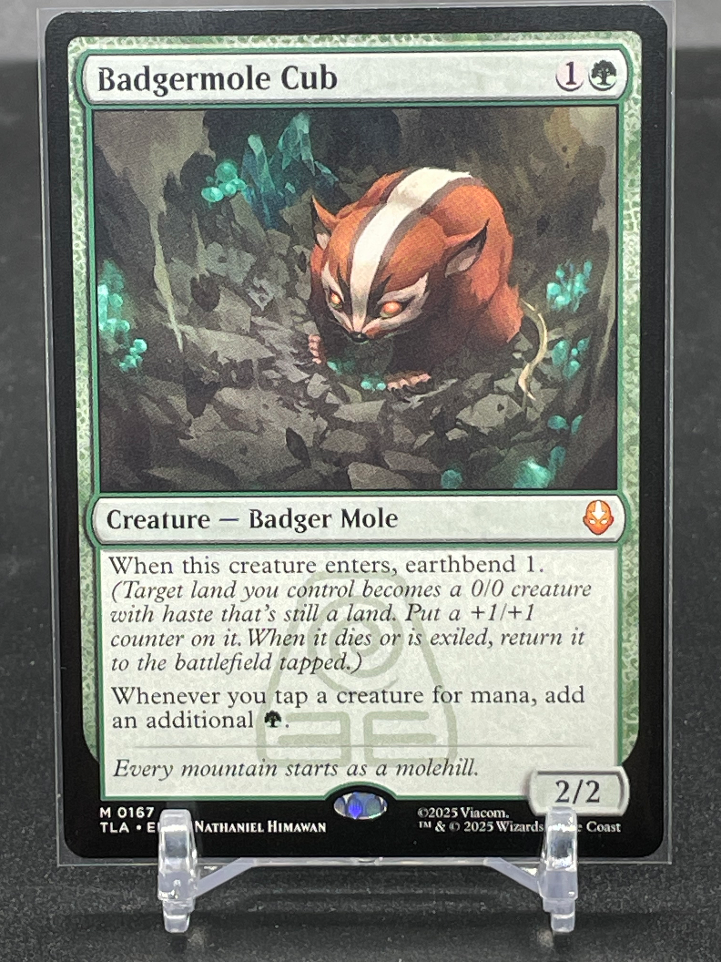 Magic: the Gathering Badgermole Cub #167 | Under the Bridge Collectable Cards