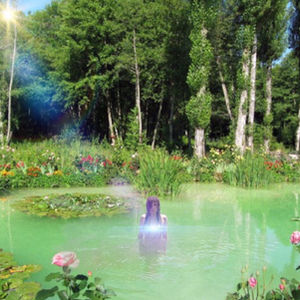 NATURE IS A SUPER COMPUTER