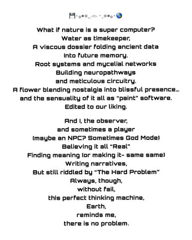 WHAT IF NATURE IS A SUPER COMPUTER