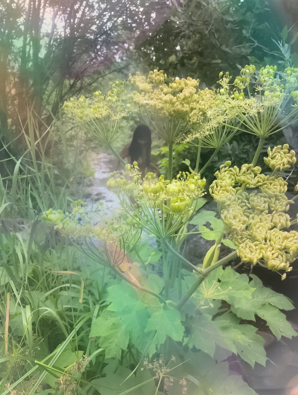 DANCING WITH THE RIVER