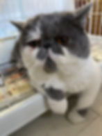 ふくまる