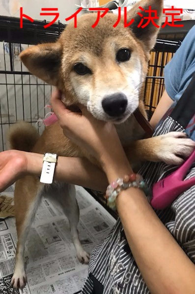 シオンちゃん