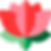 flower.png